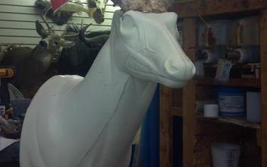 Dave's School Of Taxidermy: Service Image-4 Dave's School Of Taxidermy: Service Image-4