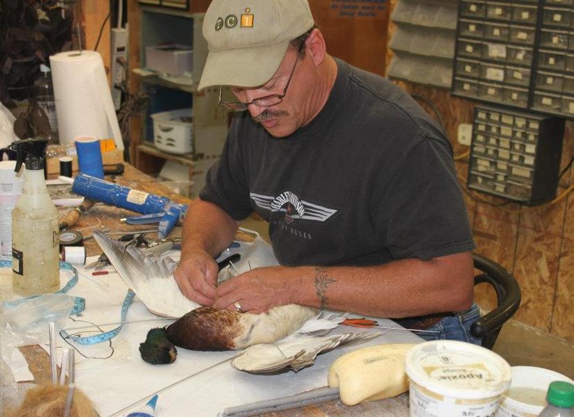 Dave's School Of Taxidermy: Service Image-0 Dave's School Of Taxidermy: Service Image-0